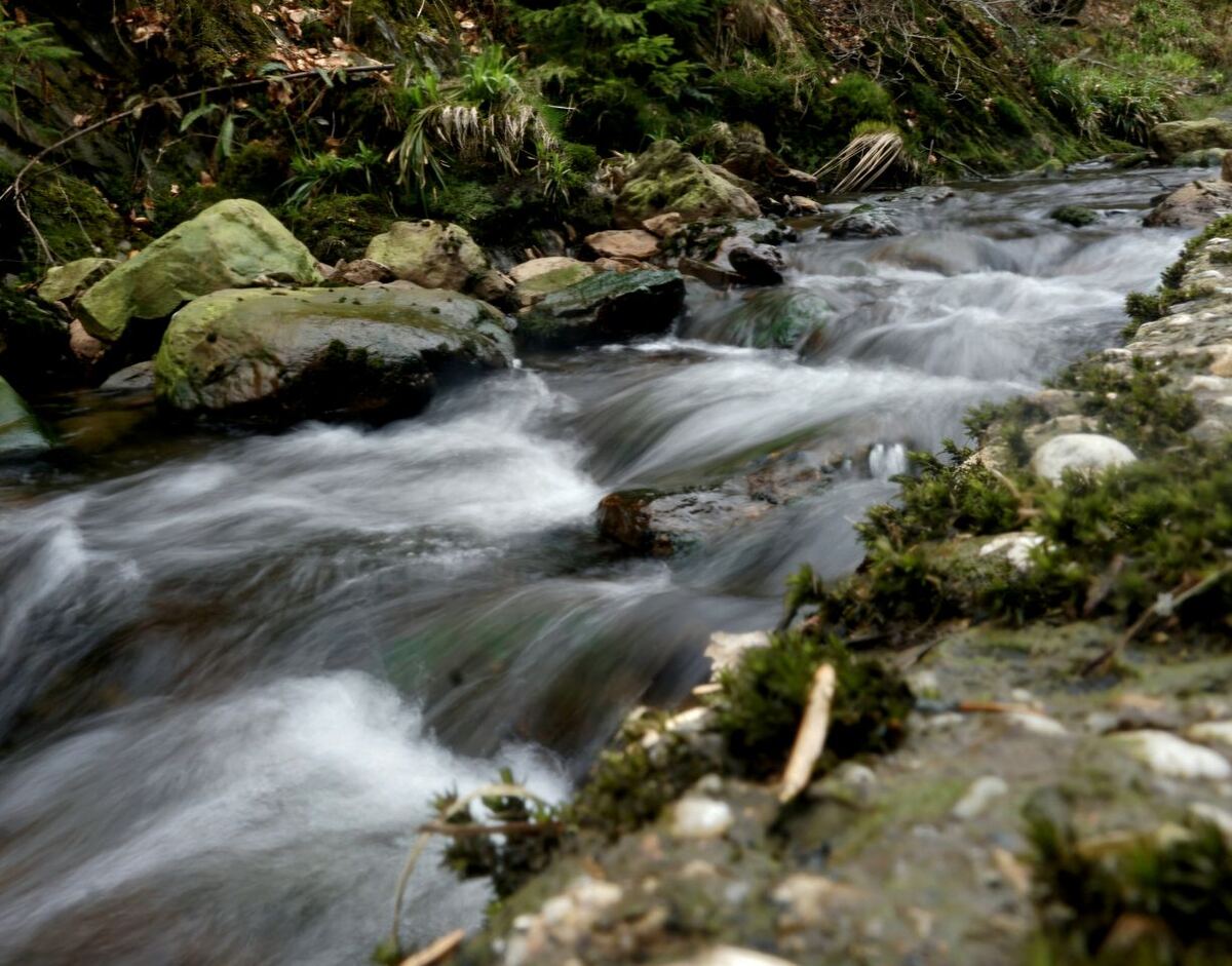 Een beekje met snelstromend water tussen rotsen en begroeide oevers. De lange sluitertijd zorgt voor een zacht, wazig effect van het water. De omgeving is groen met mos en enkele bladeren.