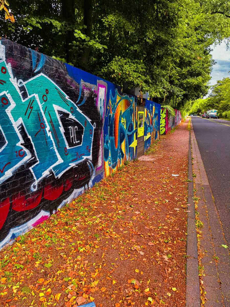 Een lange muur bedekt met kleurrijke graffiti, langs een weg met bomen en herfstbladeren op de grond. Aan de rechterkant van de muur is een smal trottoir en een asfaltweg zichtbaar. Aan de overkant van de weg staan geparkeerde auto's onder bomen.