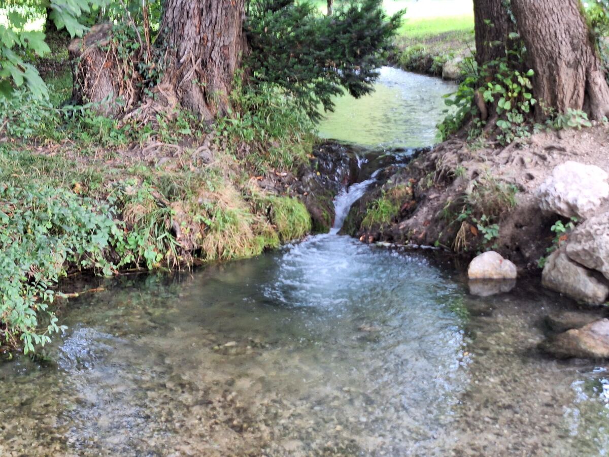 Een kleine waterval in een beekje dat door een bosrijke omgeving stroomt. De oevers zijn begroeid met gras en bomen, en er liggen enkele stenen in het water.