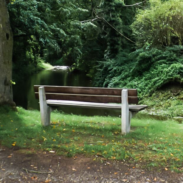 Een houten bankje staat op een grasveldje naast een smalle waterloop, omringd door dichte groene begroeiing en bomen. De zon schijnt op het gras, met enkele herfstbladeren verspreid over de grond.