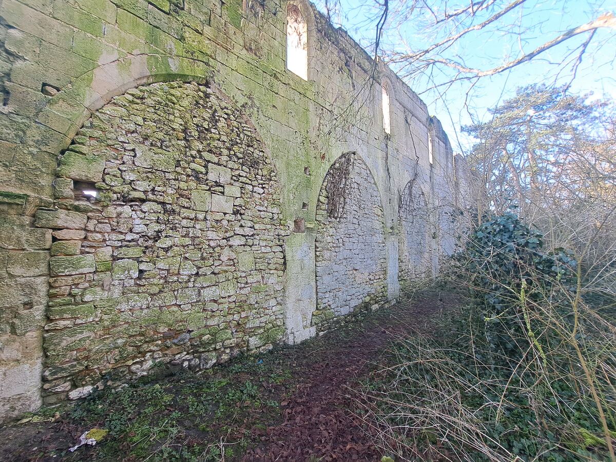 Een oude, hoge stenen muur, deels overgroeid met mos en korstmossen, strekt zich uit langs een smal pad bedekt met dorre bladeren en wat groen. De muur heeft meerdere dichtgemetselde boogvormige openingen en enkele rechthoekige openingen hogerop die licht doorlaten. Rechts van de muur staat een groep kale bomen en struiken met wat klimop. De lucht erboven is helderblauw.