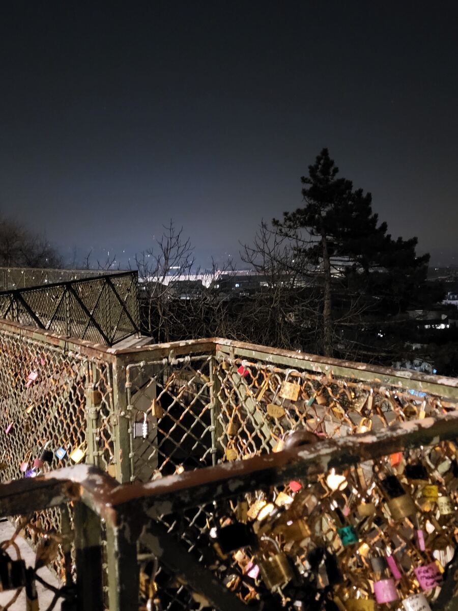 Een nachtfoto genomen vanaf een uitkijkpunt met een hekwerk vol hangsloten, uitkijkend over een verlichte stad. De lucht is donker en er zijn kale bomen zichtbaar, samen met een dennenboom. De hangsloten zijn in verschillende kleuren en maten.