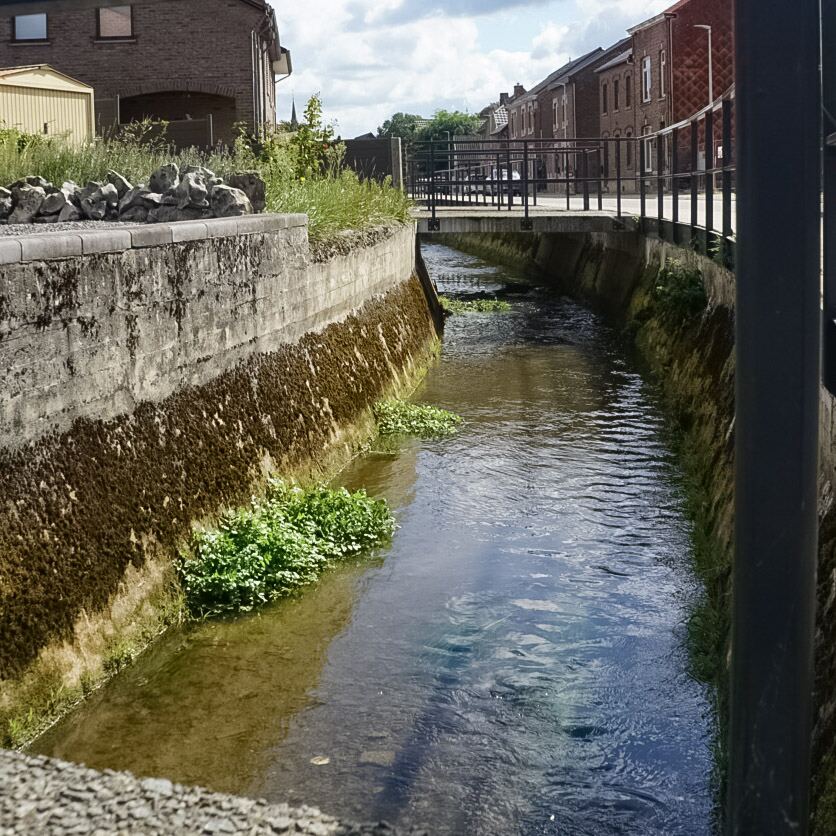 Een smalle waterloop stroomt tussen betonnen oevers door, met aan de linkerkant een met mos begroeide muur en aan de rechterkant een metalen hek. Op de achtergrond zijn huizen en een brug zichtbaar onder een bewolkte lucht.