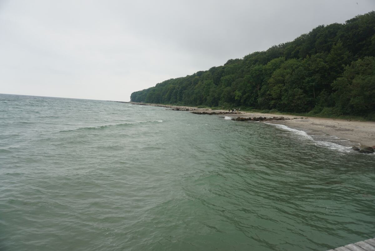Een breed shot van een kustlijn met kalm, groenachtig water op de voorgrond, een smal zandstrand met rotsen, en een dichtbegroeide groene bosrand die een klif vormt onder een grijze lucht. Enkele mensen zijn zichtbaar op het strand.