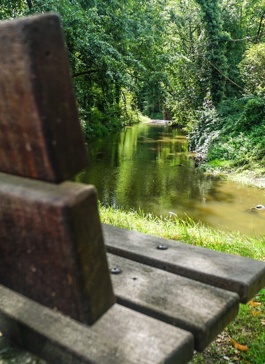 Een houten bankje op de voorgrond met uitzicht op een smalle waterloop omringd door dichte groene begroeiing. Het water reflecteert de bomen en de lucht, en er zijn enkele eenden zichtbaar.
