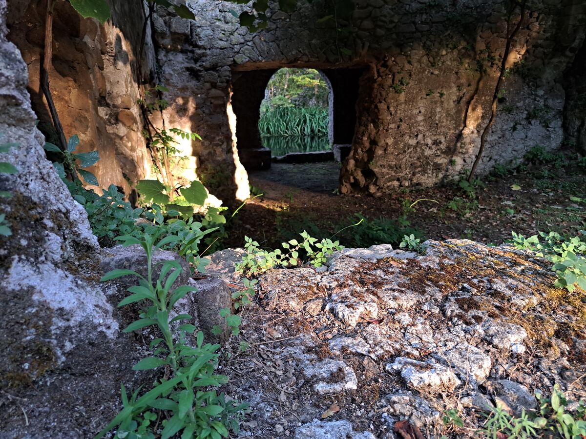 De foto toont een doorkijkje door een oude, stenen constructie, mogelijk een tunnel of overblijfsel van een aquaduct. Op de voorgrond zijn rotsen en diverse groene planten te zien. Zonlicht valt schuin naar binnen en verlicht de linkerwand van de constructie, die bestaat uit ruwe, met mos en aarde bedekte stenen. Door de boogvormige opening in het midden is in de verte water zichtbaar, omzoomd door hoge groene rietachtige planten die weerspiegelen in het wateroppervlak. Verderop zijn bomen te on