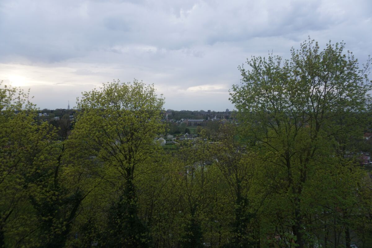 Een panoramisch uitzicht over een groen landschap met veel bomen op de voorgrond, en in de verte bebouwing onder een bewolkte lucht. Links in de verte is een zendmast zichtbaar.
