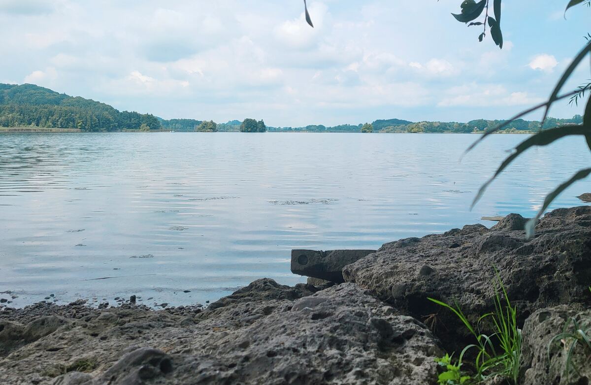 Een weids uitzicht over een kalm meer met aan de overkant beboste oevers en kleine eilandjes. Op de voorgrond zijn rotsen en wat begroeiing te zien, met enkele bladeren die van bovenaf in beeld hangen. De lucht is licht bewolkt.