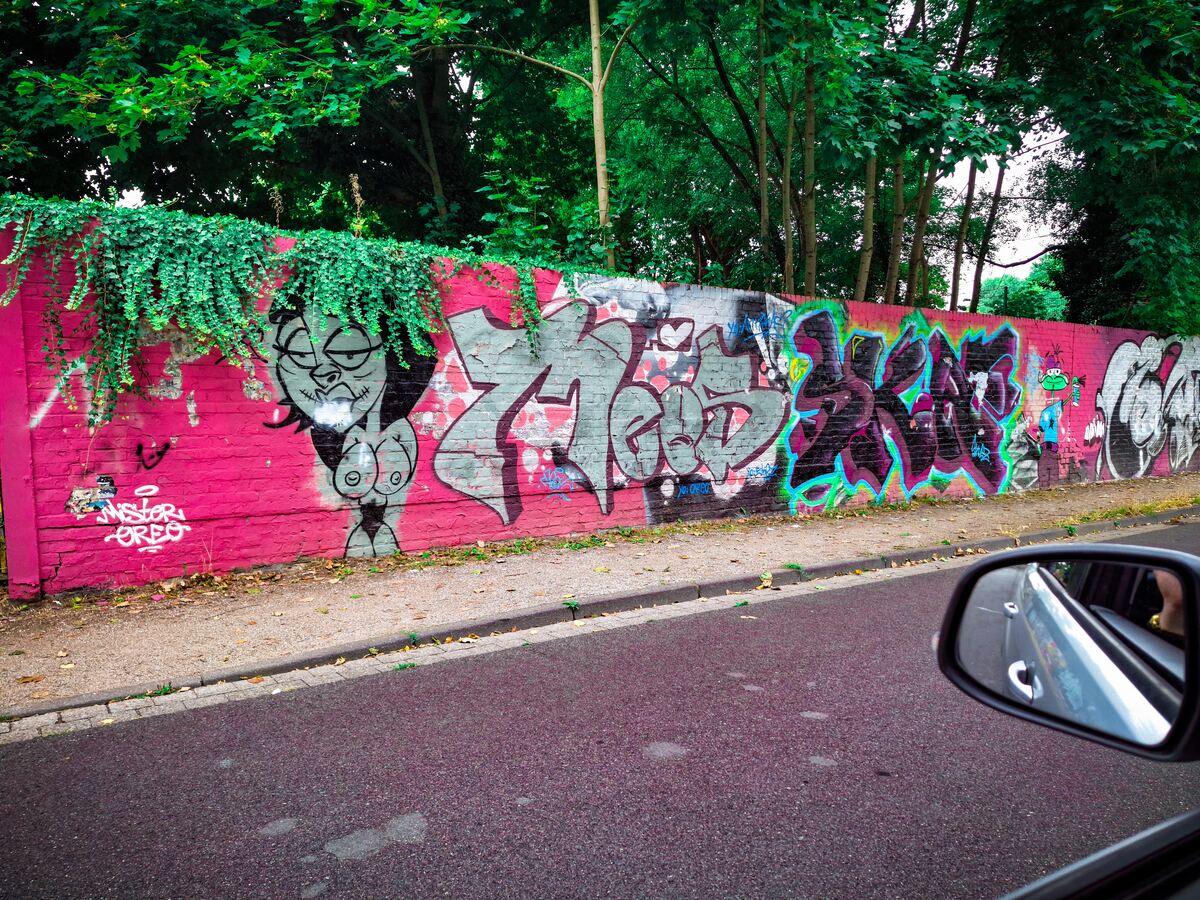 Een lange muur bedekt met kleurrijke graffiti en overwoekerd met klimop, gezien vanuit een auto. De muur is felroze geverfd en toont diverse graffiti-kunstwerken, waaronder een figuur met borsten en een cartoonachtige kikker. Boven de muur is een rij bomen met groene bladeren zichtbaar. Op de voorgrond is een deel van de weg en de stoep te zien, en rechtsonder is de buitenspiegel van de auto zichtbaar.