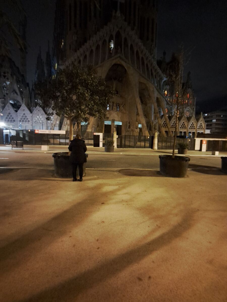 Een persoon staat met de rug naar de camera gericht op een verlicht plein voor een grote, gedetailleerde kathedraal in gotische en Art Nouveau-stijl. Het is nacht en de kathedraal wordt van onderaf verlicht, waardoor de complexe gevels en torens zichtbaar zijn. Op de voorgrond zijn grote plantenbakken met bomen en de schaduwen van de bomen en de persoon zijn lang uitgerekt op de grond. Links is een bord met 'Tickets' en een pijl te zien.