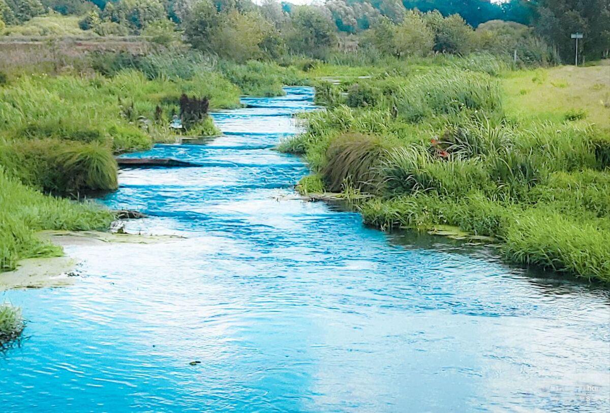 Een brede waterloop van de Vecht stroomt door een groen landschap. De oevers zijn begroeid met weelderig groen gras en struiken. Op de achtergrond zijn bomen zichtbaar onder een lichte lucht. Het water heeft een helderblauwe kleur en toont lichte rimpelingen, met hier en daar wat drijvende waterplanten.