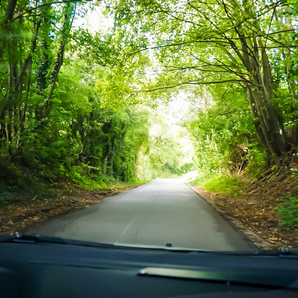 Een smalle, geasfalteerde weg die door een dichtbegroeid bos loopt, gezien vanuit de voorruit van een auto. De bomen vormen een groene tunnel over de weg.