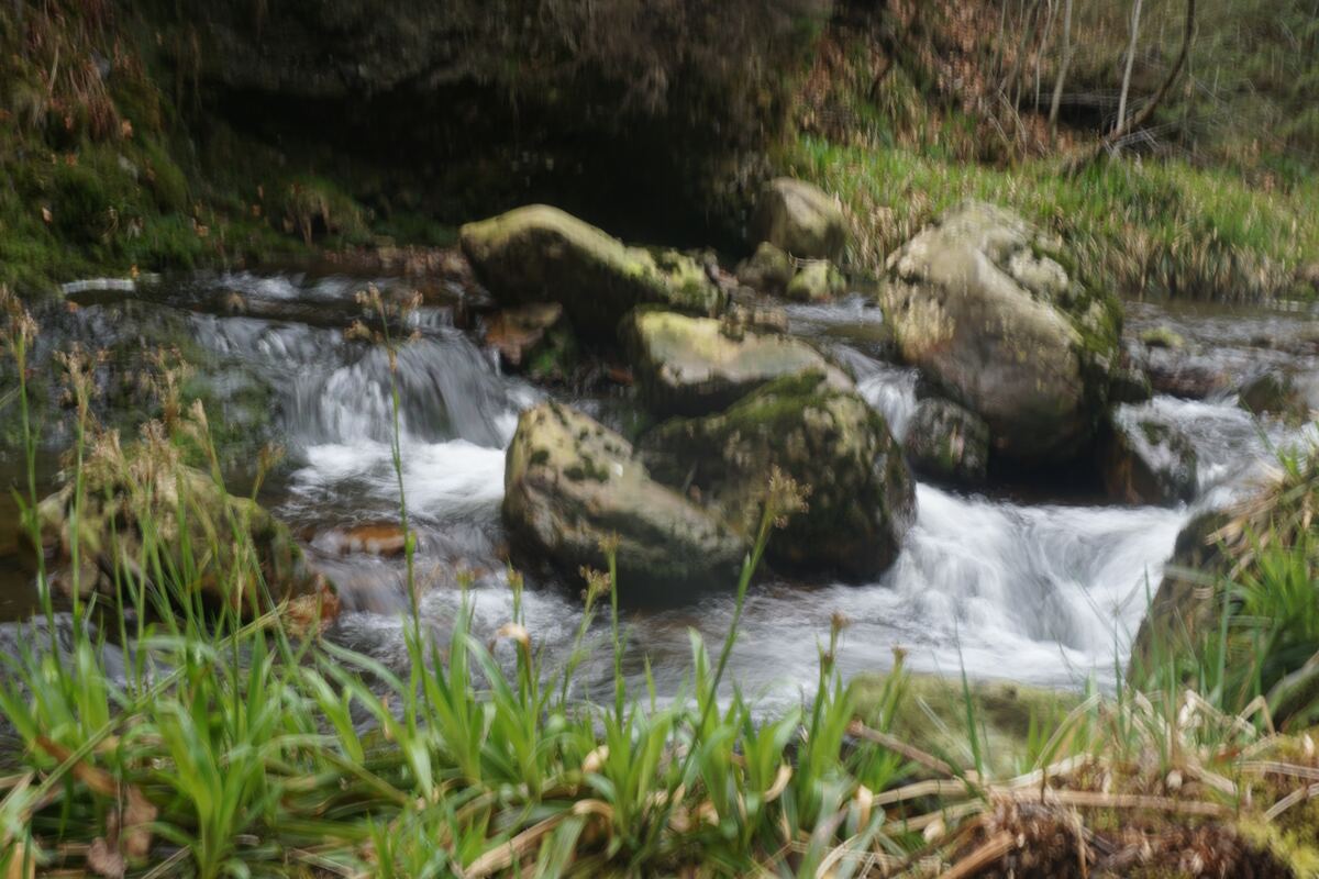 Een close-up van een snelstromende beek met veel rotsen en groene begroeiing langs de oevers. Het water stroomt over en langs mosbegroeide stenen, wat zorgt voor witte schuimende plekken. Op de voorgrond is onscherpe groene vegetatie te zien, en op de achtergrond een donkere, beboste helling.
