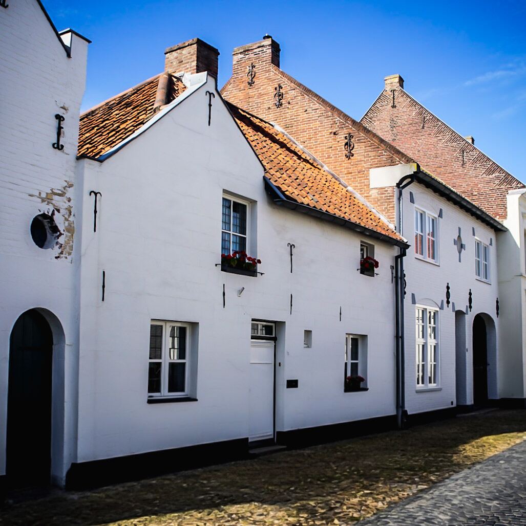 Een rij witte huizen met oranje pannendaken en bakstenen schoorstenen onder een helderblauwe lucht. De gevels zijn voorzien van zwarte muurankers en enkele ramen hebben bloembakken met rode bloemen. De straat is geplaveid met kasseien.