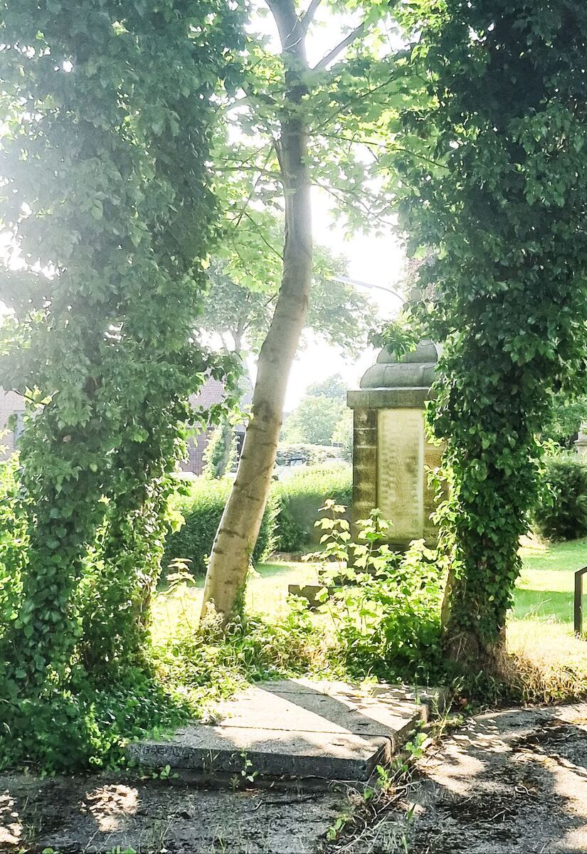 De foto toont een begraafplaats met een monumentale grafsteen, omringd door bomen en groen. Zonlicht schijnt door de bladeren, wat zorgt voor een heldere, bijna overbelichte achtergrond. De grafsteen is van steen en heeft tekst die niet leesbaar is. Op de voorgrond zijn enkele stenen treden zichtbaar.