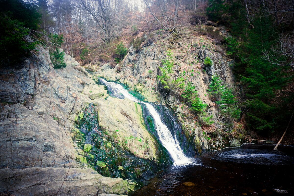 Een waterval stroomt over rotsen in een bosrijke omgeving. Het water valt in een donkere poel onderaan. De rotsen zijn deels bedekt met mos en kleine planten. Aan de zijkanten van de waterval staan bomen, zowel loofbomen zonder blad als naaldbomen met groene naalden.