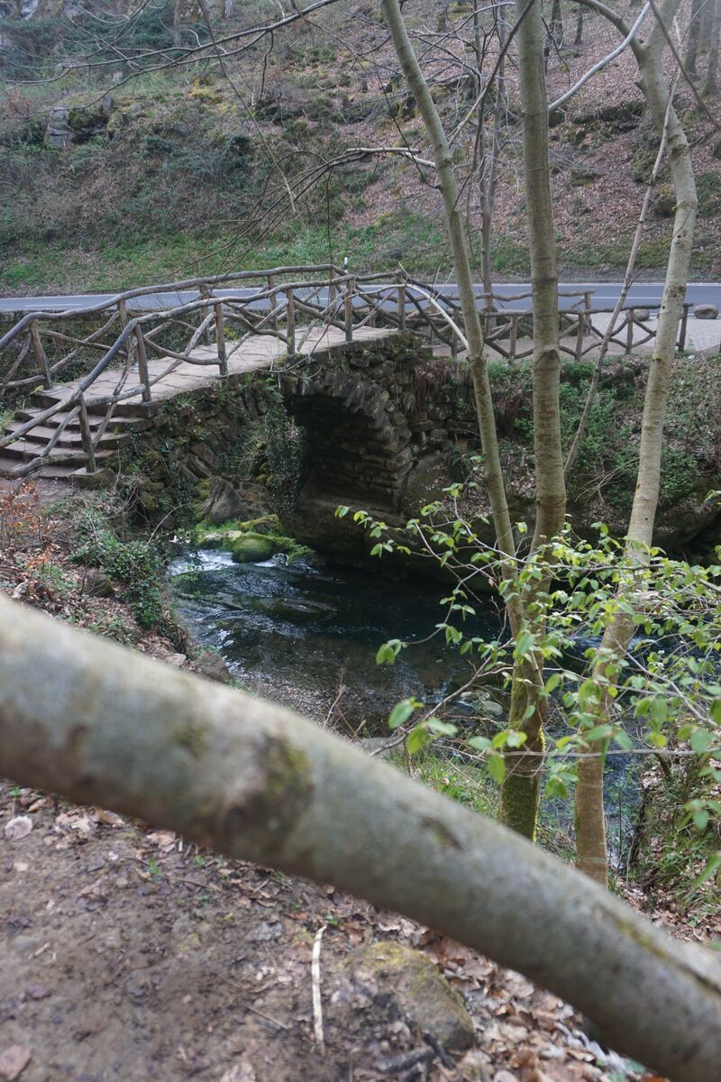 Een stenen boogbrug met een houten leuning over een beekje, omringd door bomen en struiken. Op de achtergrond is een weg zichtbaar.