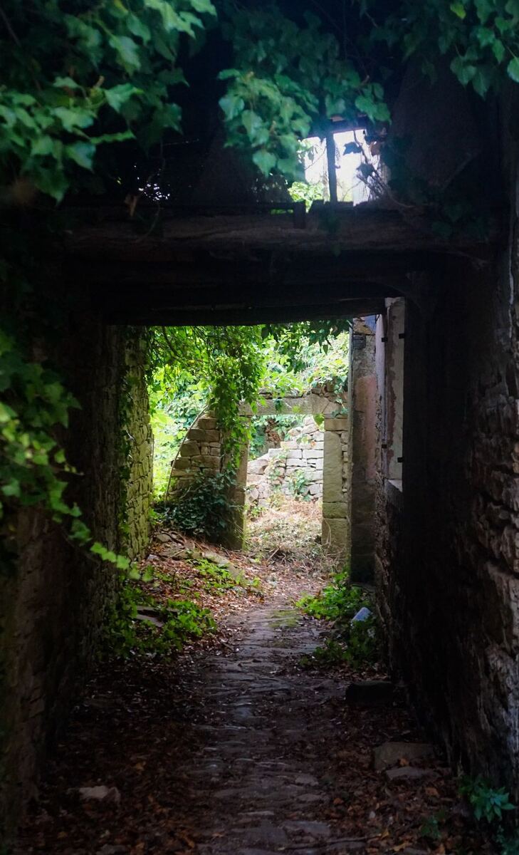 Een doorkijkje door een oude, deels ingestorte stenen doorgang, overwoekerd met klimop en ander groen. De doorgang leidt naar een open, licht begroeid gebied met meer ruïnes van stenen muren. De grond is bedekt met bladeren en stenen. Bovenin de doorgang is een opening in het dak zichtbaar.