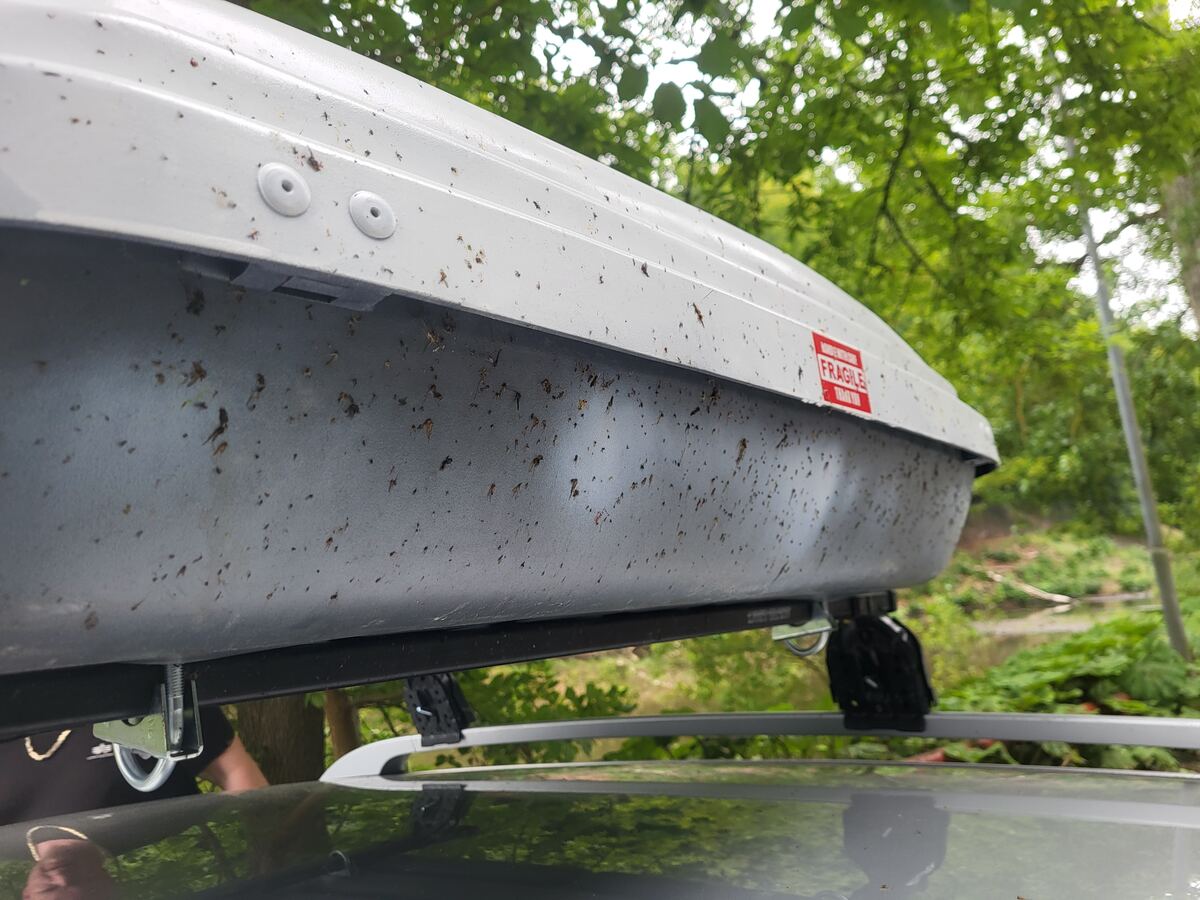 Een close-up van een vuile, grijze dakkoffer op het dak van een auto, bedekt met insectenresten. Op de dakkoffer is een rode sticker met 'FRAGILE' te zien. De auto staat onder bomen met groene bladeren.