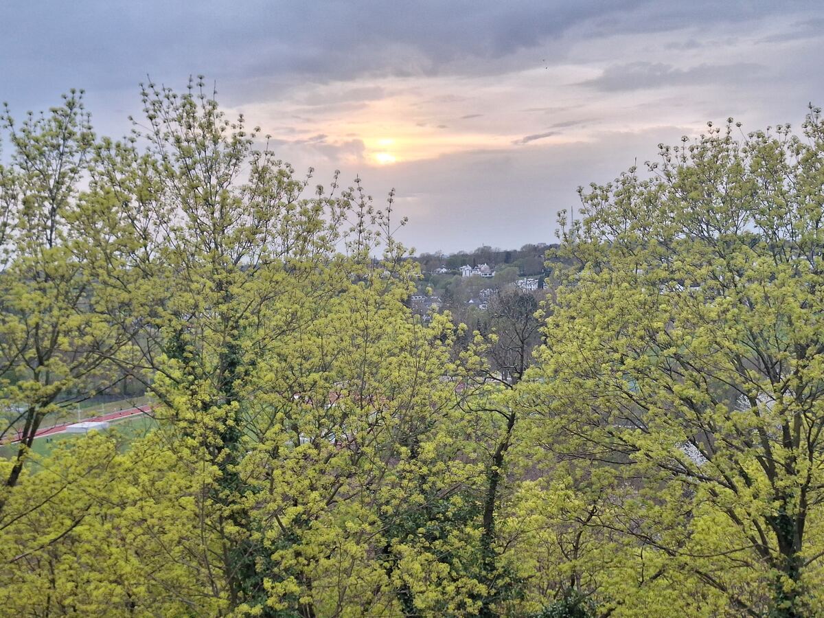 Een avondlandschap met de zon die door de wolken schijnt, gezien over de toppen van lichtgroene bomen. Op de achtergrond zijn heuvels met verspreide huizen en een sportveld zichtbaar.