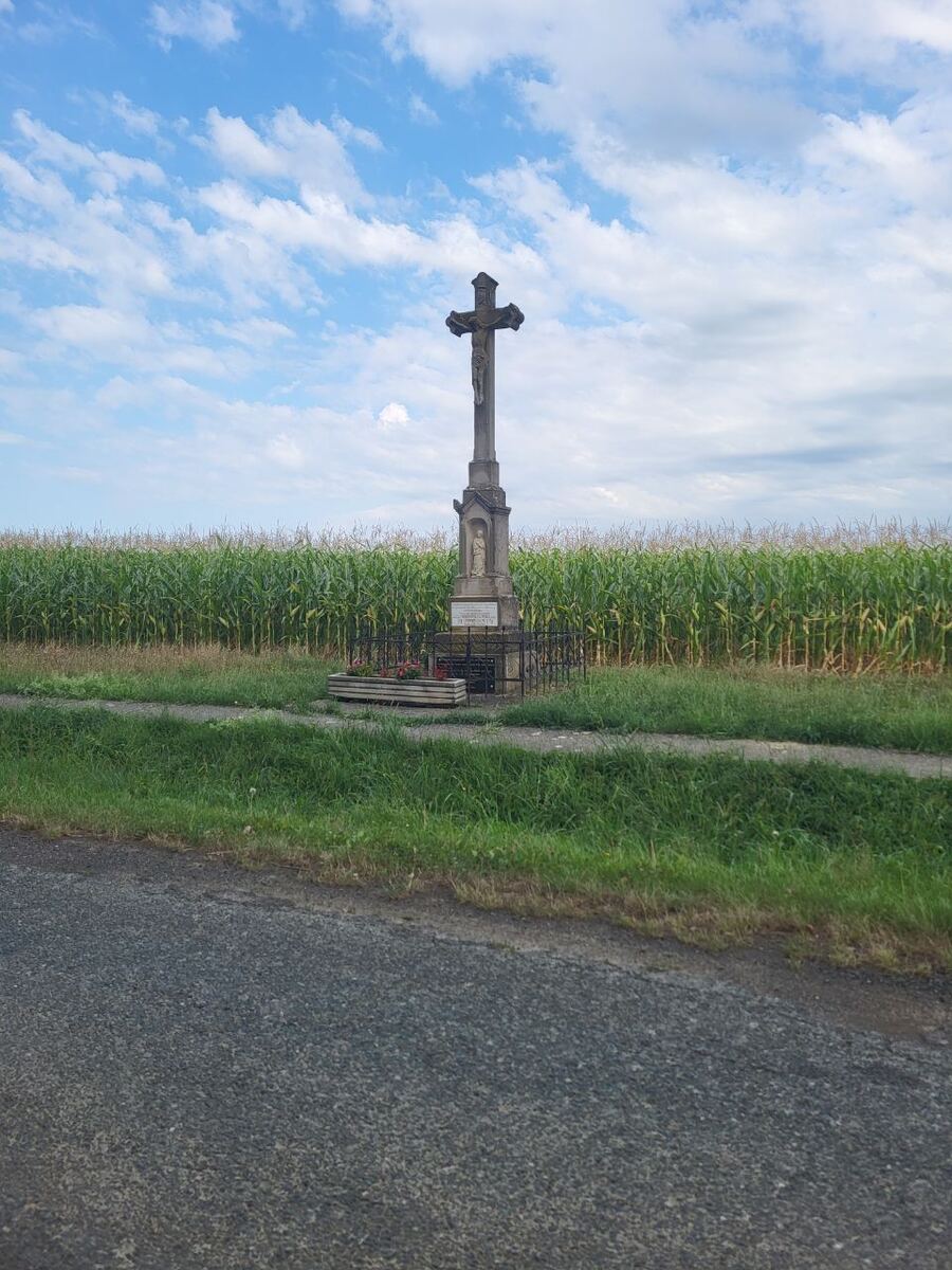 Een stenen wegkruis met een beeld van Christus staat langs een geasfalteerde weg, geflankeerd door een hoog maïsveld onder een blauwe lucht met witte wolken.