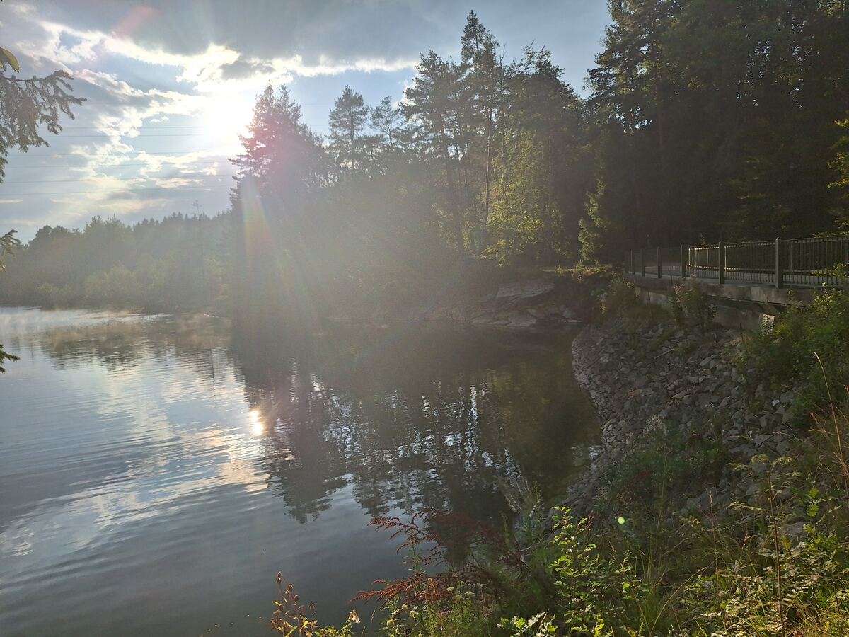 Een wateroppervlak met lichte nevel en reflecties van de zon en wolken. Aan de rechterkant van het water is een met stenen verstevigde oever te zien, met daarachter een pad met een metalen hek. Op de achtergrond staan veel bomen en de zon schijnt fel door de wolken, wat zorgt voor lensflares.