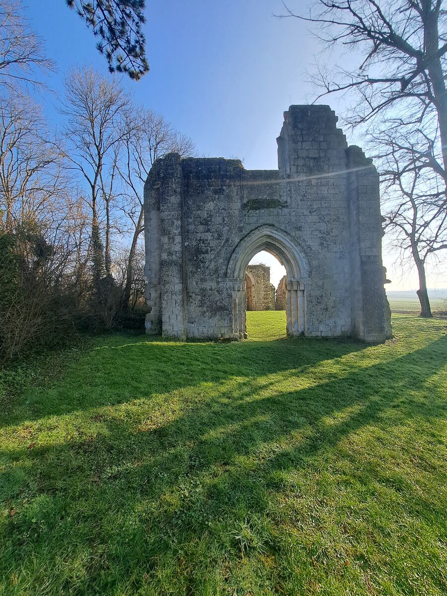 Een foto van de ruïnes van een oud stenen gebouw, mogelijk een kerk of klooster, met een boogvormige doorgang in het midden. De zon schijnt fel en werpt lange schaduwen over het groene grasveld op de voorgrond. Rondom de ruïnes staan kale bomen en struiken onder een helderblauwe lucht.