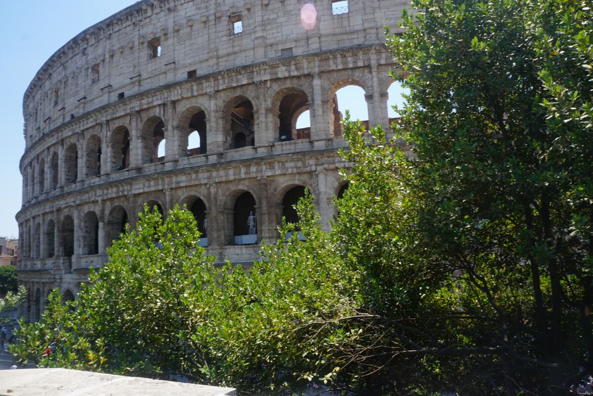 De foto toont een deel van de buitenmuur van het Colosseum in Rome, gezien door het bladerdak van groene bomen op de voorgrond. De imposante stenen constructie met meerdere lagen bogen vult het grootste deel van het beeld. De lucht is helderblauw en er is een lichte lensflare zichtbaar.