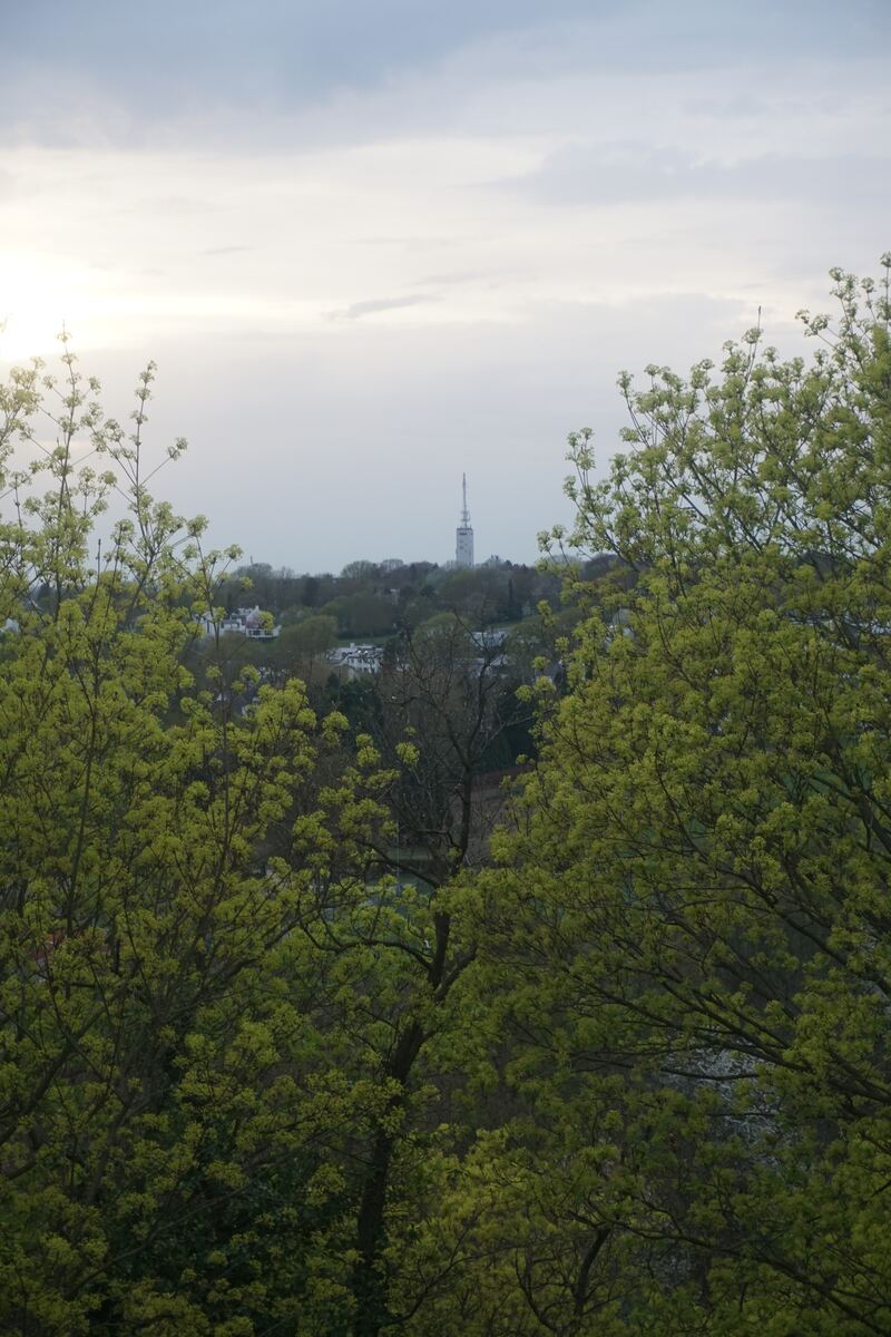Een landschapsfoto met op de voorgrond frisgroene bladeren van bomen, die een doorkijk bieden naar een zendmast op een heuvel in de verte. De lucht is bewolkt en licht, met een lichte gloed aan de linkerkant.