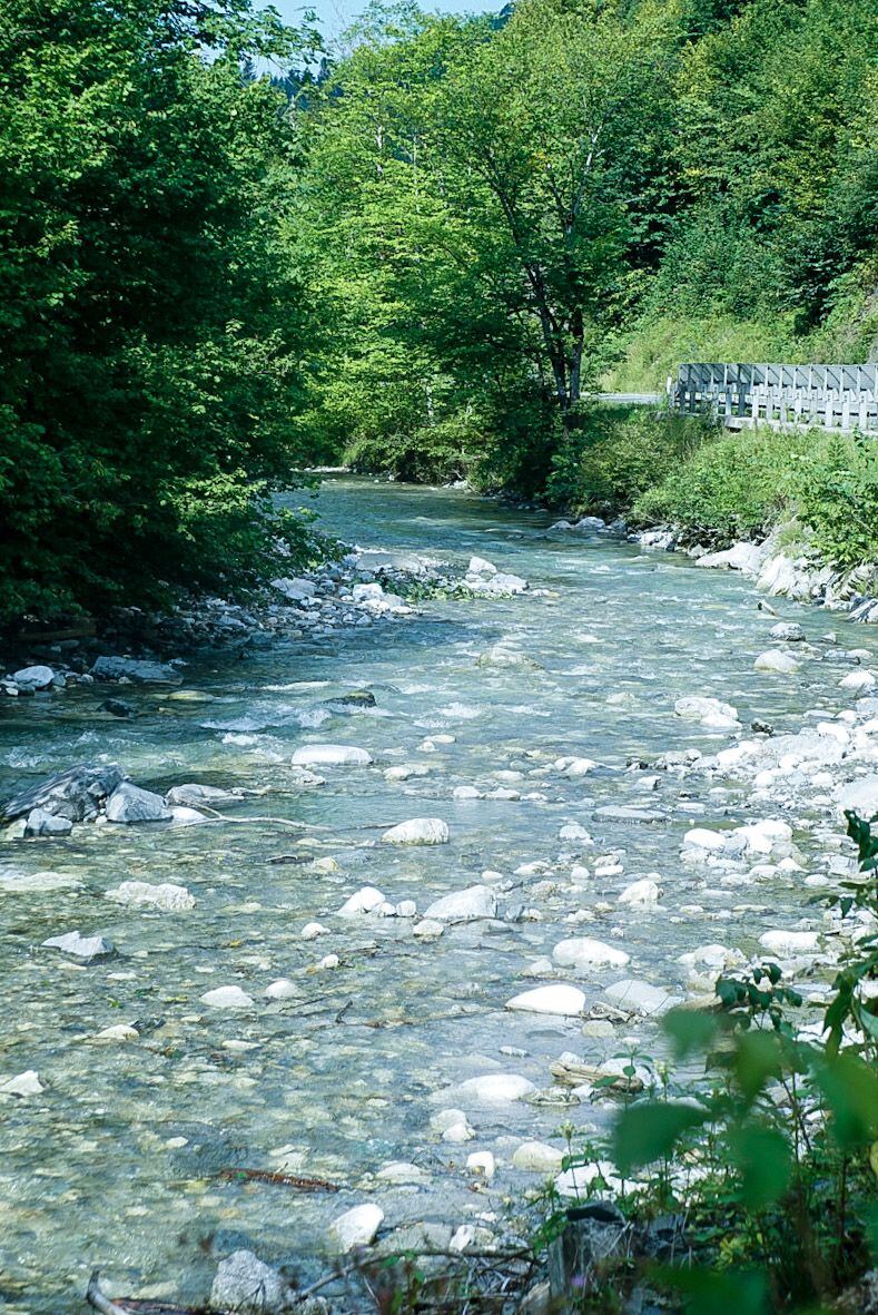 Een heldere, ondiepe rivier met veel stenen op de bodem stroomt door een bosrijke omgeving. Aan de rechterkant van de rivier is een weg zichtbaar met een houten vangrail, omringd door dichte begroeiing.