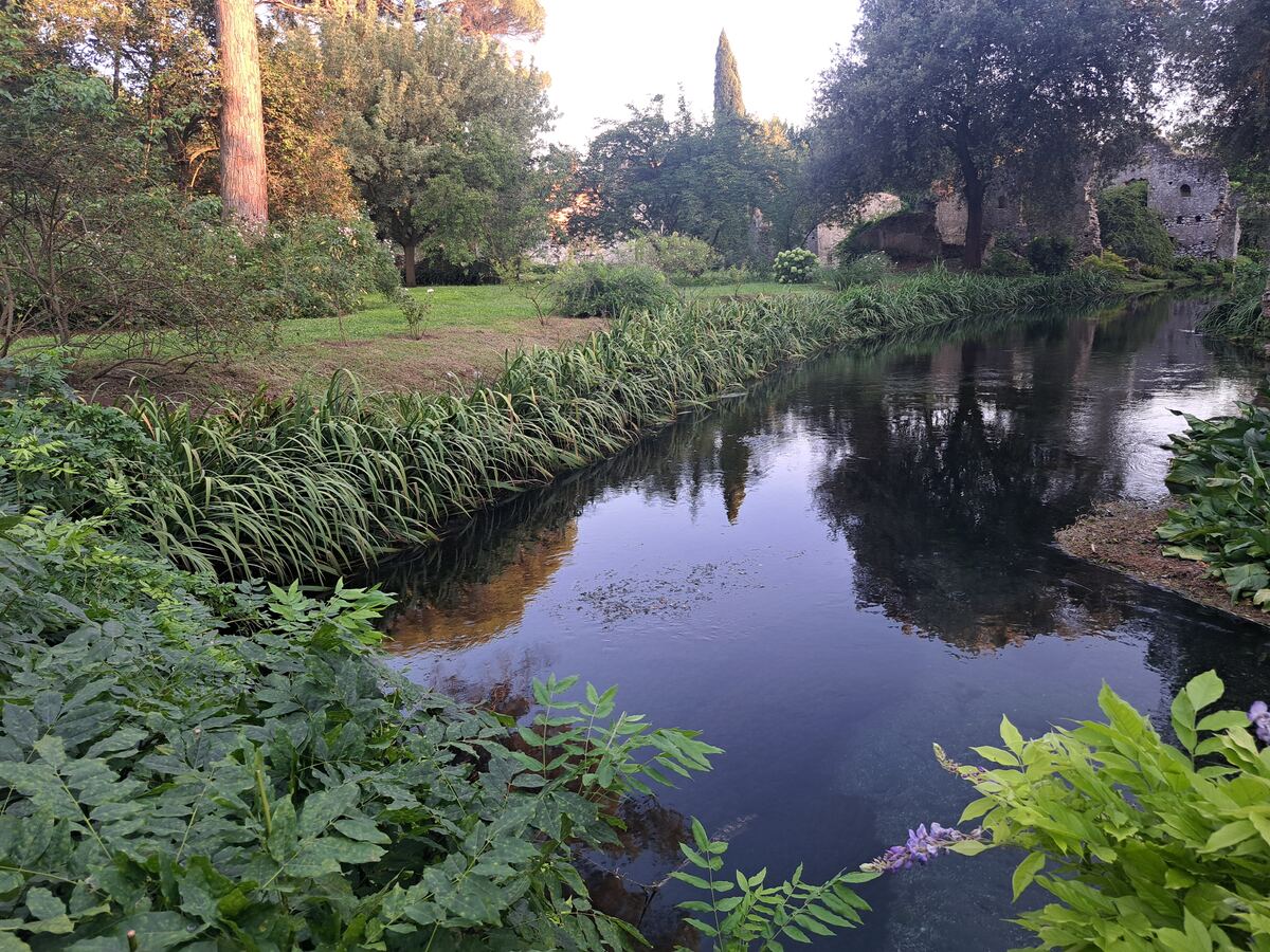 Een serene waterloop stroomt door een weelderige groene omgeving. Aan de oevers groeien diverse planten en bomen, waaronder hoge grassen langs de waterrand. Op de achtergrond zijn de met groen begroeide stenen resten van oude bouwwerken zichtbaar, omringd door dichte bomen. De lucht is helder en de ondergaande zon werpt een warme gloed op enkele boomtoppen, waarvan de reflecties zachtjes in het water dansen. Een vleugje paarse bloemen is te zien in de rechterbenedenhoek.