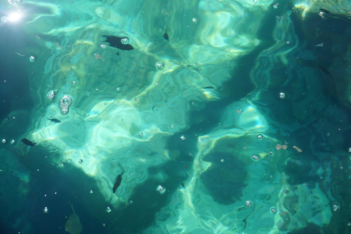 De foto toont een bovenaanzicht van helder, turquoise-groen water met zonlicht dat op het oppervlak reflecteert. Er zijn rimpelingen en lichtpatronen zichtbaar. Enkele kleine, donkere vissen zwemmen in het water, samen met luchtbellen en kleine deeltjes.