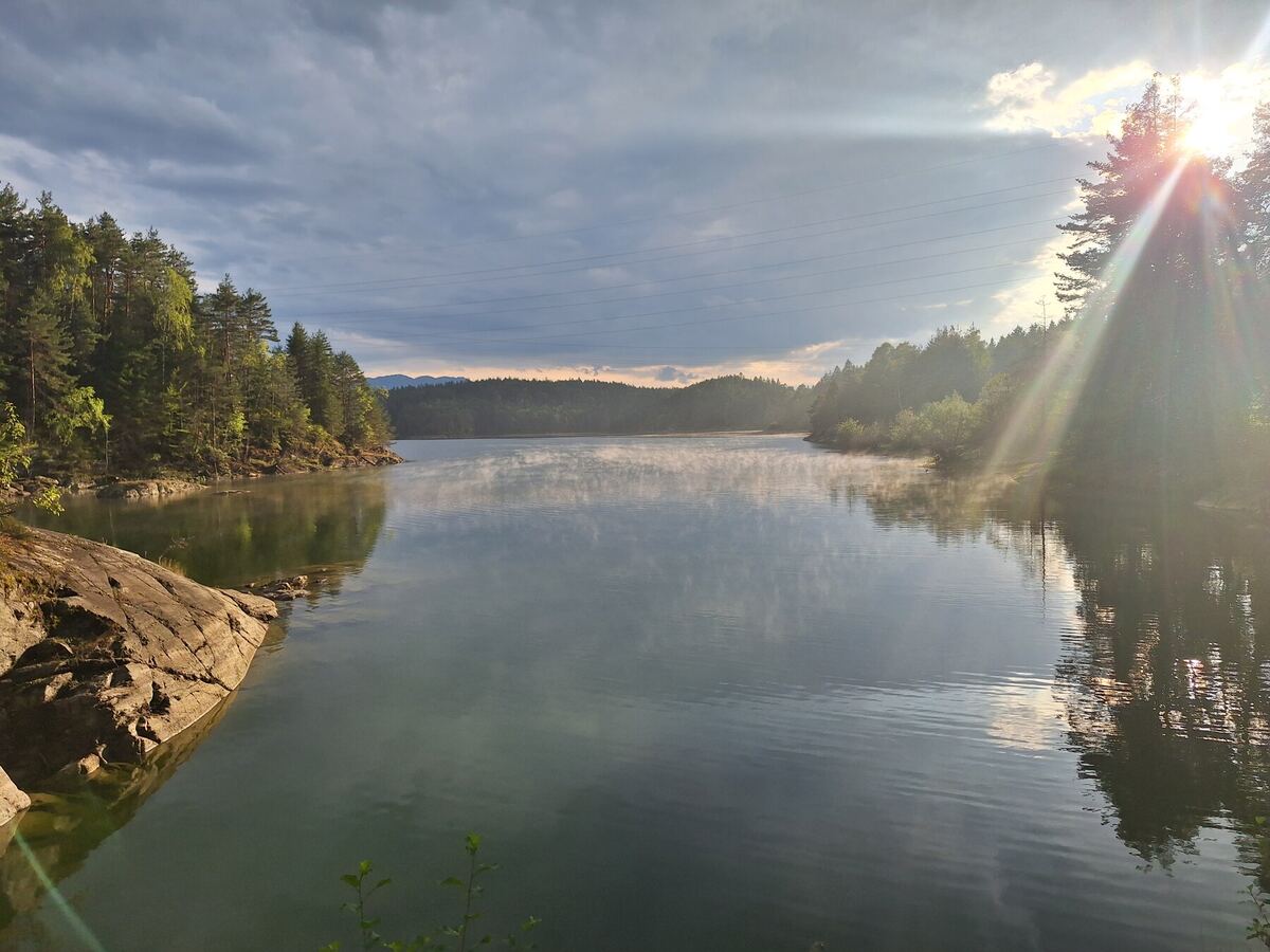 Een breed shot van de Forstsee in Oostenrijk, met mistflarden die boven het wateroppervlak hangen. De zon schijnt door de bomen aan de rechterkant en creëert een sterke lichtstraal. De oevers zijn begroeid met naaldbomen en aan de linkerkant is een rotsachtige oever zichtbaar. De lucht is deels bewolkt.