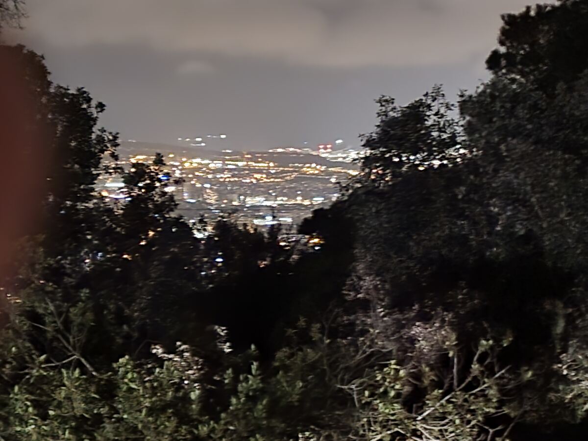 Een nachtfoto van een stad in de verte, gezien door donkere boomtoppen. De stad is verlicht met talloze gele en witte lichtjes, die een gloed vormen onder een bewolkte nachthemel. De voorgrond bestaat uit silhouetten van bomen en struiken.