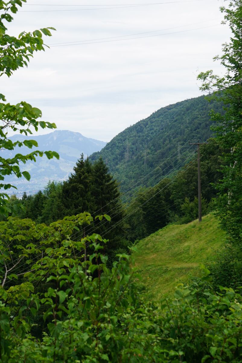 Een weids uitzicht op een groen, heuvelachtig landschap onder een bewolkte hemel. De voorgrond toont dichte groene begroeiing en rechts een grasrijke helling. Een steile, dichtbeboste heuvel domineert het midden, doorsneden met elektriciteitskabels en enkele masten. In de verte zijn meerdere lagen bergen en heuvels zichtbaar, die vervagen in de nevel, met een glimp van een nederzetting in een vallei. Een enkele elektriciteitspaal staat op de grashelling.