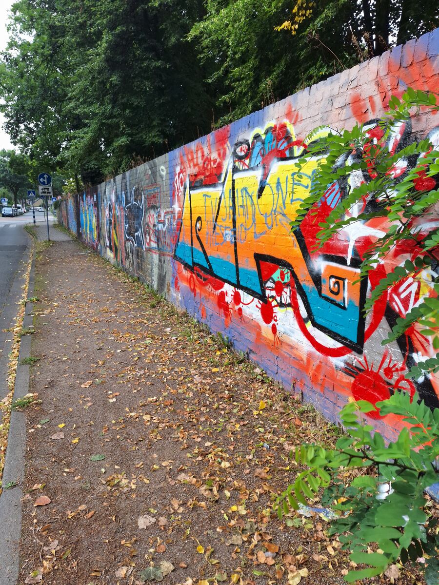 Een lange muur bedekt met kleurrijke graffiti, met een stoep en een weg ernaast. Er liggen herfstbladeren op de grond en bomen vormen de achtergrond. Een verkeersbord voor 'verboden voor vrachtwagens' is zichtbaar.