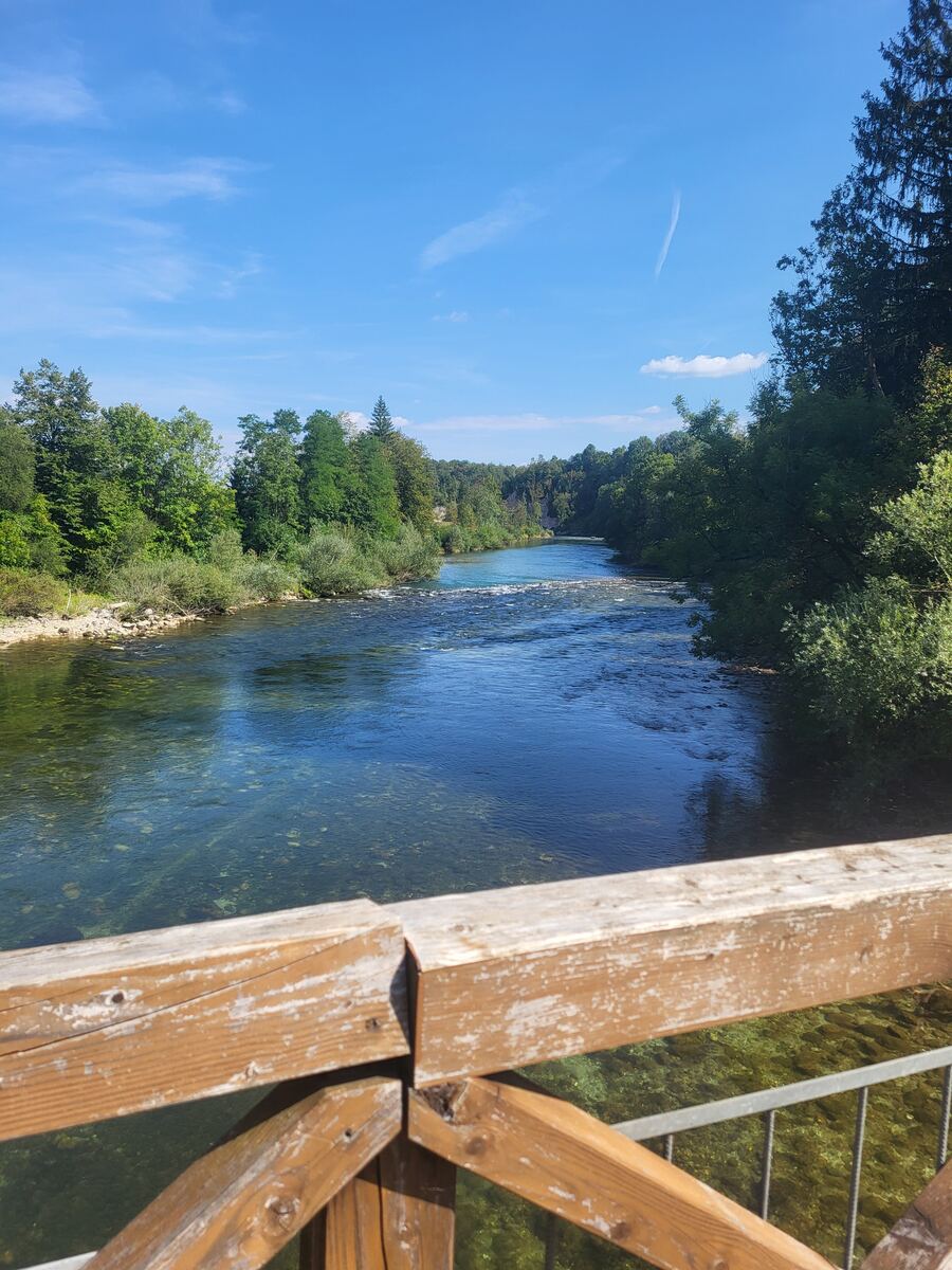 Een foto genomen vanaf een houten brug met uitzicht op een brede, heldere rivier die door een bosrijke omgeving stroomt onder een blauwe lucht met enkele wolken. De rivier heeft een lichte stroming en de bodem is op sommige plaatsen zichtbaar. De oevers zijn begroeid met dichte bomen en struiken.