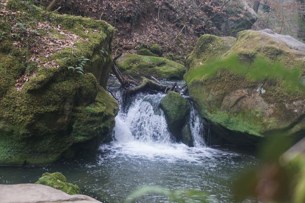 Een kleine waterval stroomt over mosbegroeide rotsen in een bosrijke omgeving. Het water is helder en schuimend, omringd door grote, groene stenen en kale takken op de achtergrond. De bodem van het bos is bedekt met bruine bladeren.