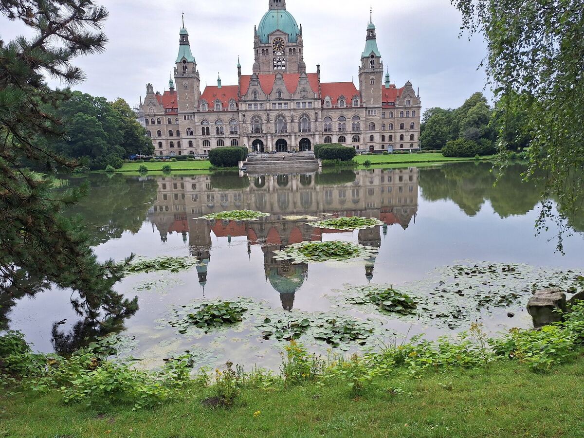 Een breed shot van het Nieuwe Raadhuis in Hannover, Duitsland, weerspiegeld in een vijver met waterlelies. Het gebouw heeft een opvallende koepel en torens met groene daken. De voorgrond toont gras en bladeren van bomen, met een bewolkte lucht erboven.