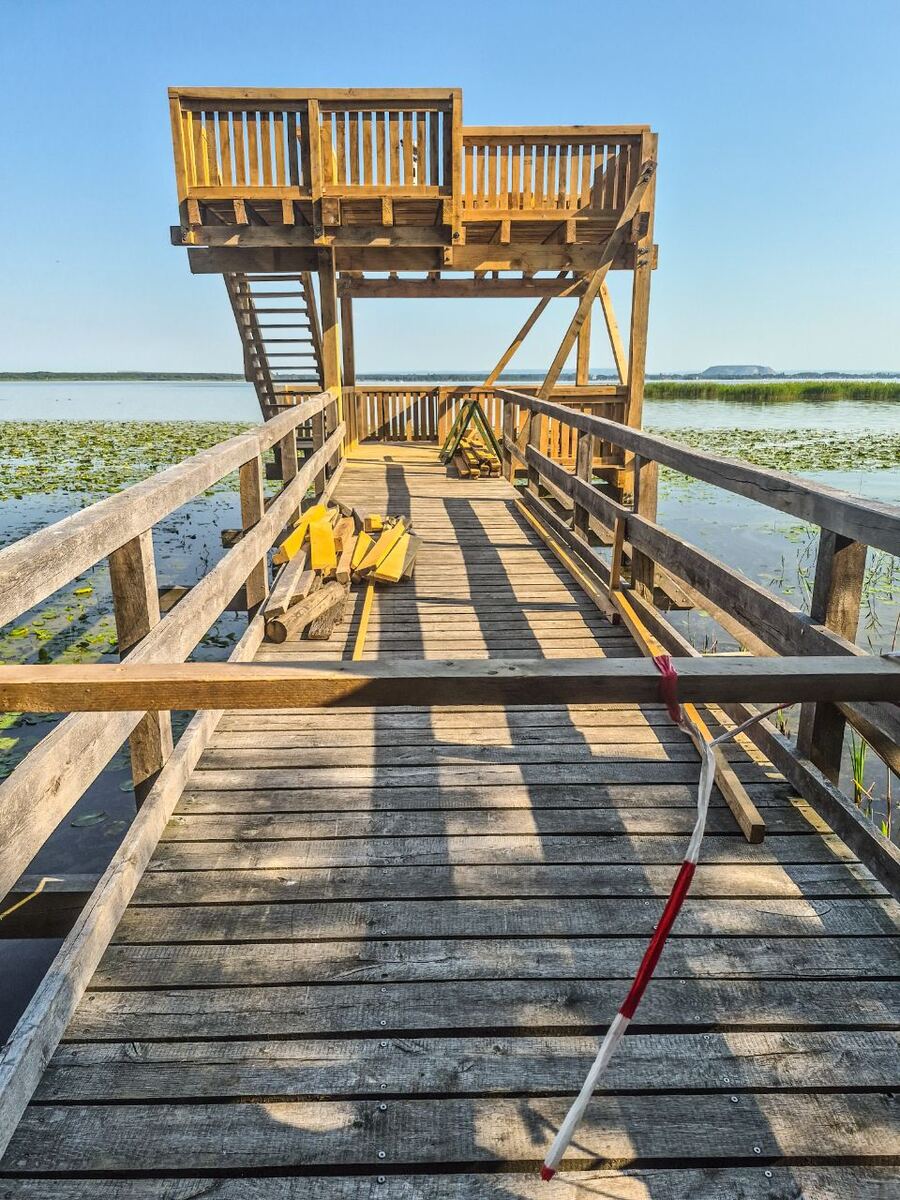 Een houten vlonder met een uitkijktoren strekt zich uit over een meer met waterlelies. Op de vlonder liggen wat houten planken en een rood-witte stok. De zon werpt lange schaduwen op het pad. Aan de horizon is een lichte heuvel of eiland te zien.