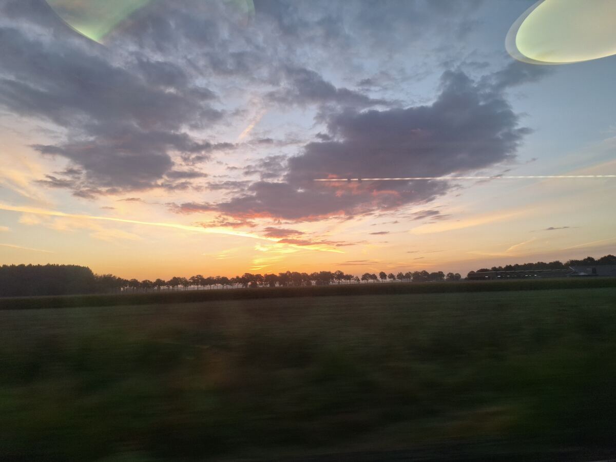 Een weids landschap met groene velden op de voorgrond en een rij bomen aan de horizon, onder een bewolkte lucht met de opkomende zon die de wolken oranje en roze kleurt. Er zijn ook enkele condensstrepen van vliegtuigen zichtbaar.