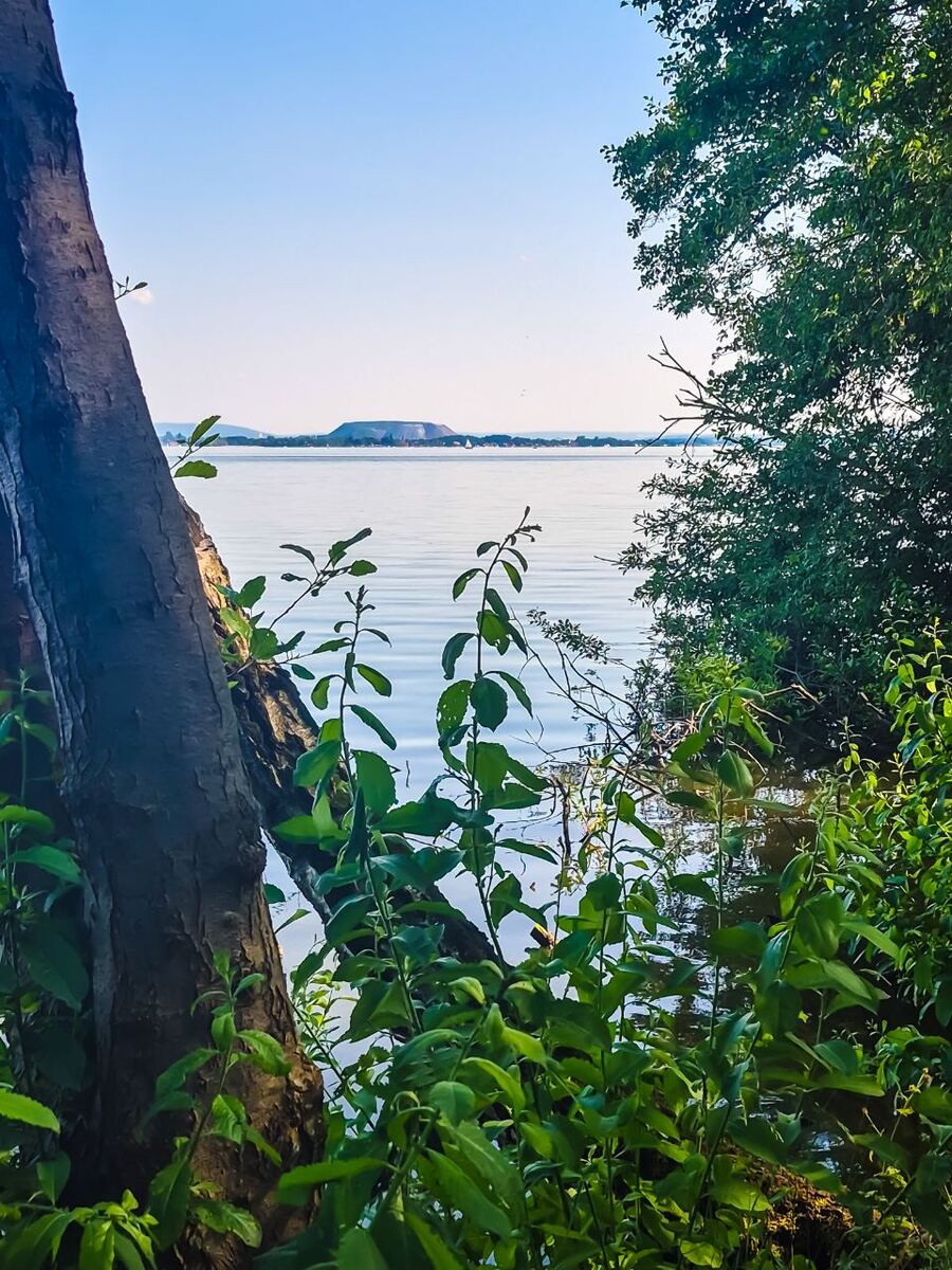 Een foto genomen vanaf de oever van een meer, met een groot deel van het water zichtbaar. Op de voorgrond staan bomen en struiken die deels het zicht belemmeren. Aan de overkant van het meer is een heuvelachtig landschap te zien onder een helderblauwe lucht. Er zijn enkele kleine zeilbootjes op het water.