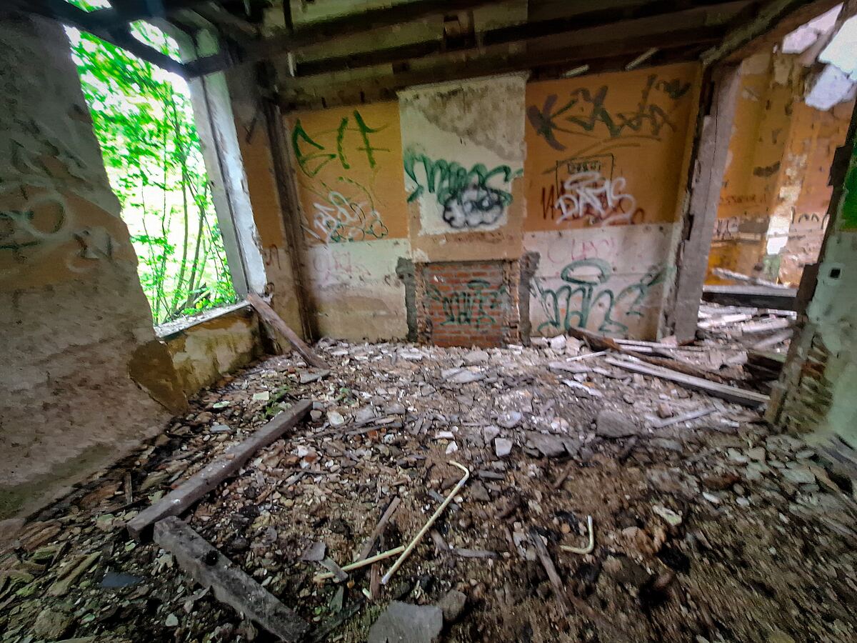 Een interieur van een verlaten en vervallen gebouw met muren vol graffiti en een vloer bedekt met puin. Door een open raam is groen gebladerte van bomen te zien.