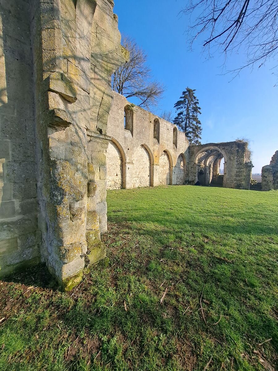 Een weids uitzicht op de ruïnes van een oud stenen gebouw, mogelijk een abdij of kerk, onder een helderblauwe lucht. De zon schijnt op de stenen muren met bogen en lege vensteropeningen. Op de voorgrond is een grasveld te zien met hier en daar wat dorre bladeren en takjes. Achter de ruïnes zijn kale bomen en een enkele naaldboom zichtbaar.