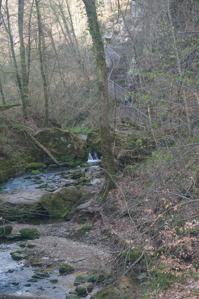 Een beek stroomt door een bos met veel bomen en rotsen bedekt met mos. Er is een houten brug zichtbaar die over de beek loopt en de heuvel op gaat.