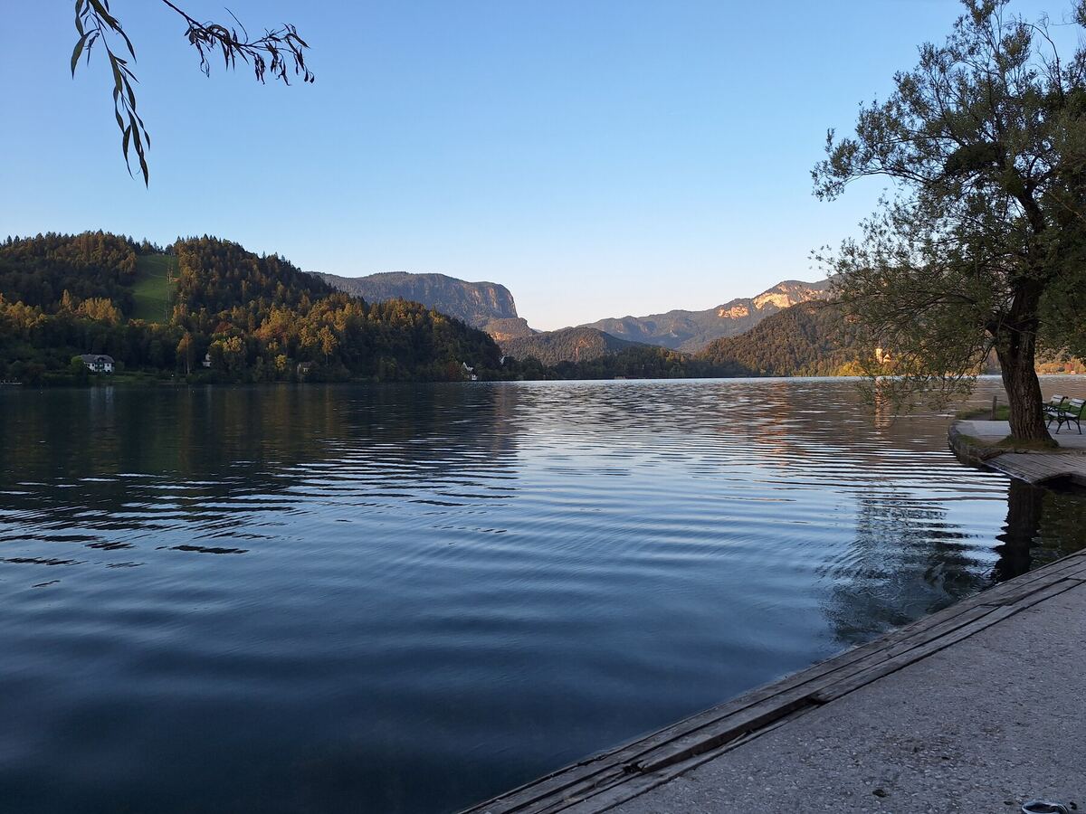 Een kalm meer met lichte rimpelingen, omringd door beboste heuvels en bergen onder een helderblauwe lucht. Rechts op de voorgrond is een boom te zien met een houten vlonder en een betonnen oever. De zon werpt een zachte gloed op de bergen aan de overkant.