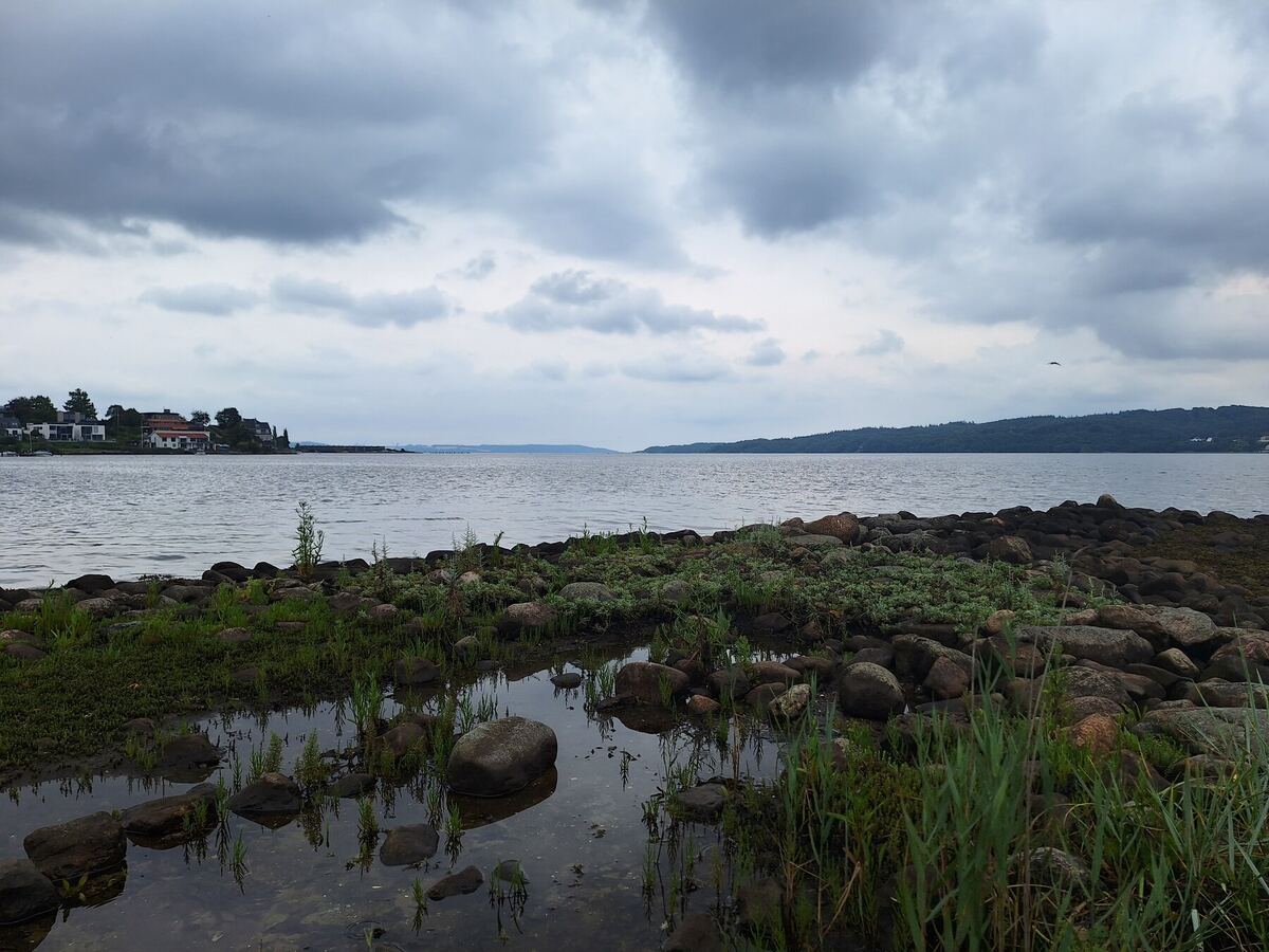 Een breed landschap van de Vejle Fjord onder een bewolkte hemel. Op de voorgrond liggen stenen en waterplanten langs de oever. Aan de overkant van het water zijn beboste heuvels en enkele huizen zichtbaar.