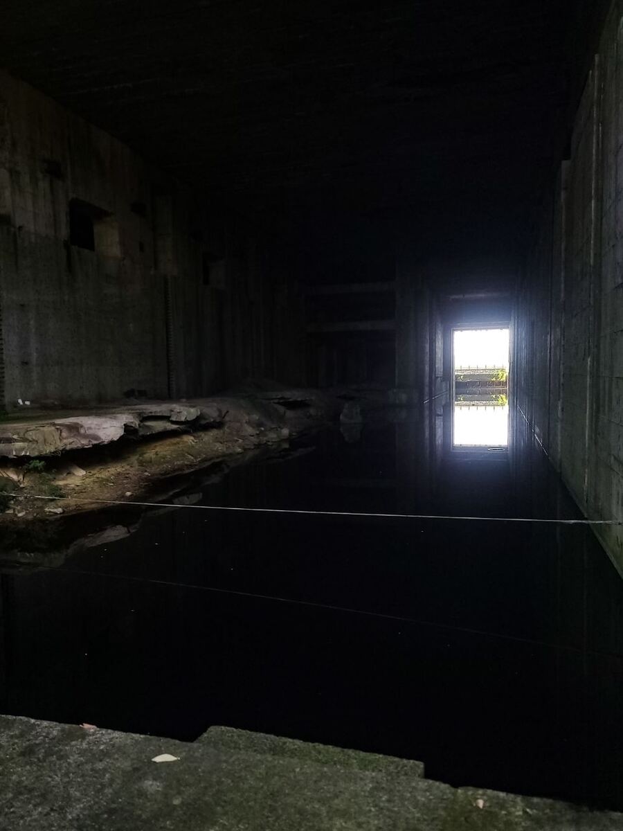 Een donkere, betonnen ruimte met een grote waterplas op de voorgrond. Aan de linkerkant zijn rotsachtige structuren zichtbaar en verderop in de ruimte is een heldere opening die naar buiten leidt, met daarachter groen van planten.