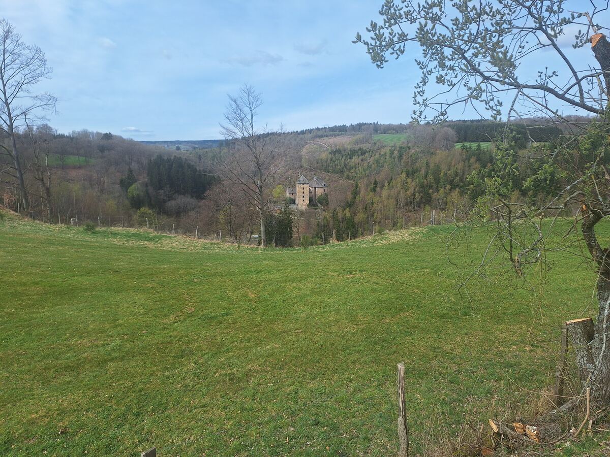 Een weids uitzicht over een groen grasveld op de voorgrond, met daarachter een vallei vol bomen en een kasteelachtig gebouw in het midden. De lucht is lichtblauw met enkele wolken. Aan de zijkanten zijn kale bomen en struiken zichtbaar.