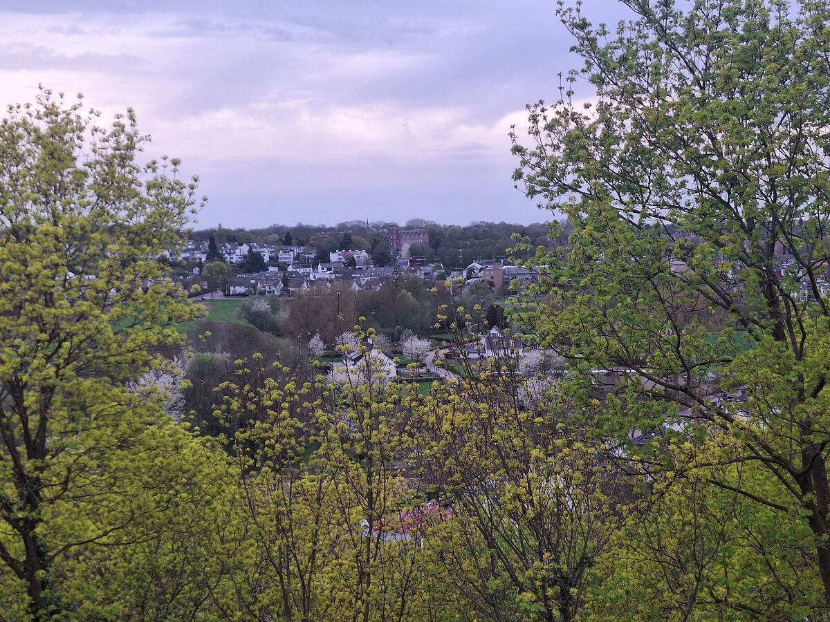 Een weids uitzicht over een stad met veel groen op de voorgrond. Op de achtergrond zijn huizen en gebouwen te zien onder een bewolkte lucht. De bomen op de voorgrond hebben frisgroene bladeren en bloesem.